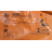 IGC258 | Ifm Electronic - Image 4